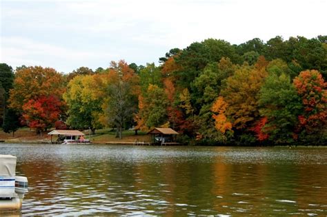 Lake Gaston Americamps - 4 Photos, 2 Reviews - Bracey, VA - RoverPass