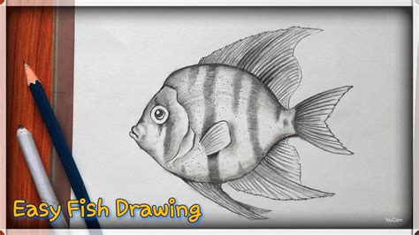 Fish Pencil Drawing Easy ~ Realistic Fish Pencil Drawing | Bodenswasuee