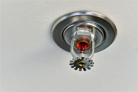 Ceiling Sprinkler Heads | Shelly Lighting