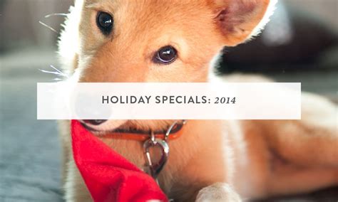 The Labs & Co. Holiday Specials 2014 - The Labs & Co.