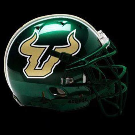 1000+ images about Love my USF Bulls! on Pinterest | Sports fights ...