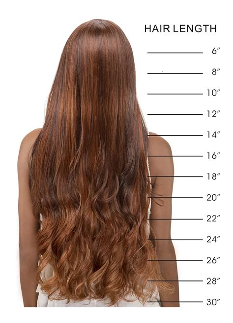 Natural hair extensions: Hair Length Chart: Hair Lengths and Types