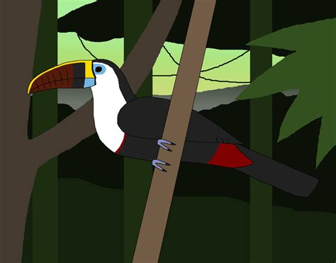 Toucan in the Amazon Morning by WildandNatureFan on DeviantArt