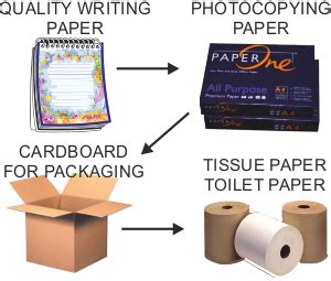 The Ups and Downs of Open Loop Recycling: Upcycling vs. Downcycling ...