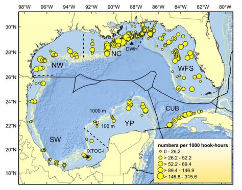 Assessing Marine Life, 8 Yrs. After Massive Gulf-of-Mexico Oil Spill ...