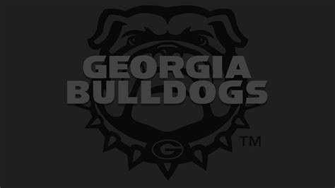 [100+] Georgia Bulldogs Wallpapers | Wallpapers.com