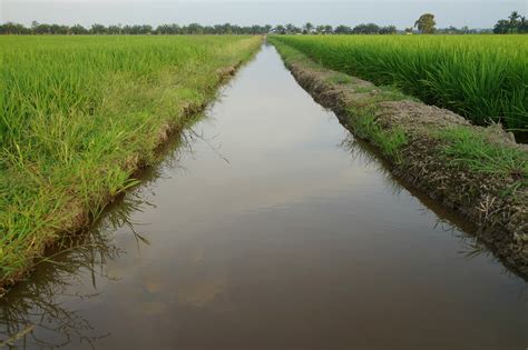 What is an Irrigation Ditch? – TWL Irrigation