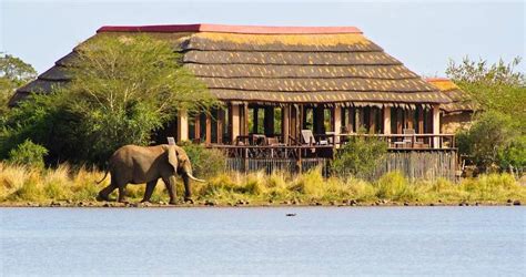 Kruger National Park Safari Lodges - Where to Stay in Kruger National Park?