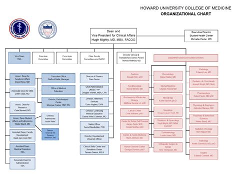 Hierarchy Organizational Chart Complete Guide | EdrawMax