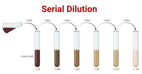 Dilution Calculator 10 To 1 at Paul Law blog