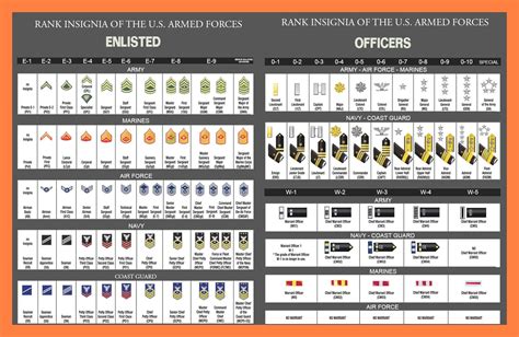 U.S. Military Rank Insignia (Enlisted & Officer) : r/coolguides