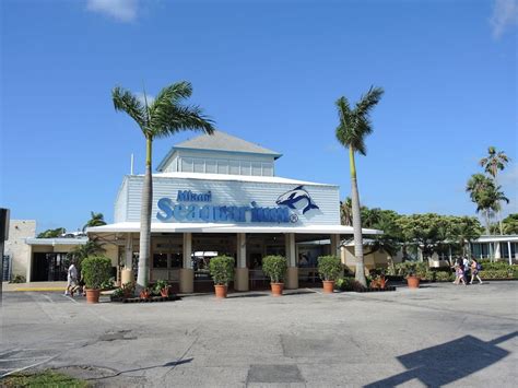 Miami Seaquarium Sights & Attractions - Project Expedition