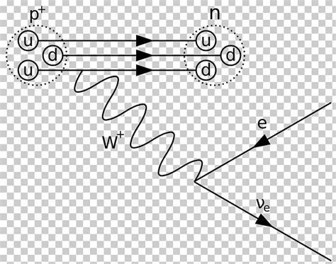 Feynman Diagram Beta Decay Physics Beta Particle PNG, Clipart, Angle ...