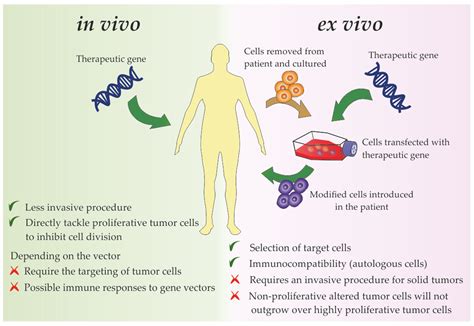 Pharmaceutics | Free Full-Text | Gene Therapy in Cancer Treatment: Why ...