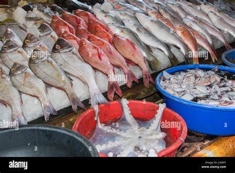 Fish Market Kerala Stock Photos & Fish Market Kerala Stock Images - Alamy