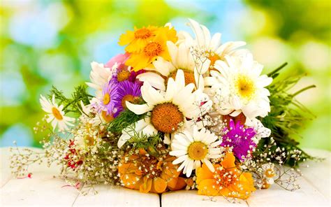 Bunch of Flowers Wallpapers - Top Free Bunch of Flowers Backgrounds ...