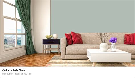 About Ash Gray - Color codes, similar colors and paints - colorxs.com