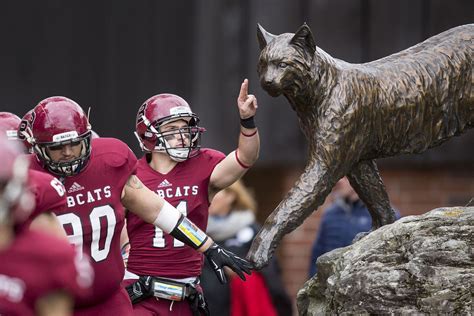 From the Archives: Five bobcat sightings on campus | News | Bates College