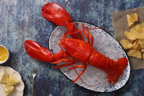 Maine Lobster 3lb (Hard Shell) - Pine Tree Seafood