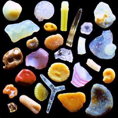 Sand under a Microscope; How Does Magnified Sand Look?