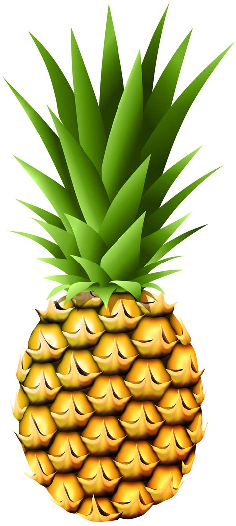 Pineapple Clipart Pineapple Ananas Fruit Transparent Clip Art | Images ...