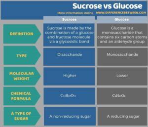 Difference Between Sucrose and Glucose | Compare the Difference Between ...