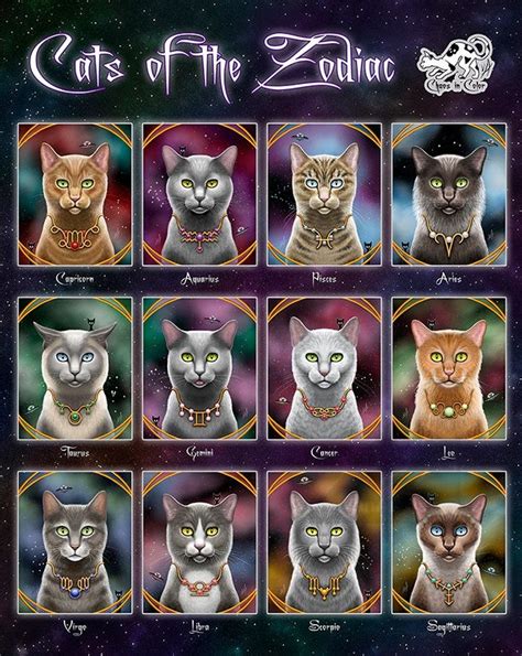 Cat Astrology: Traits by Zodiac Sign | Zodiac, Zodiac signs animals ...