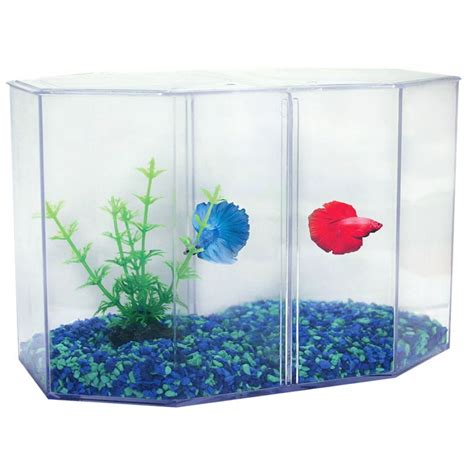 Aqua One Duo Double Siamese Fighting Fish Betta Tank - 2 Litres (10 ...