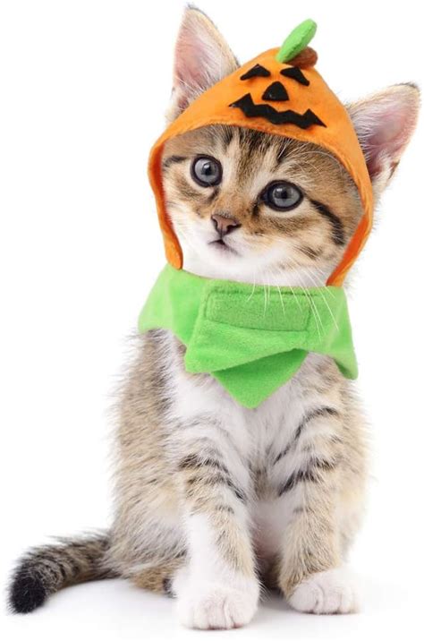 Amazon.com : Idepet Cat Costumes, Costumes for Cats Pumpkin Hat Cat ...