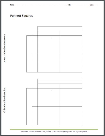 Monohybrid Cross Punnett Square Worksheet | Student Handouts