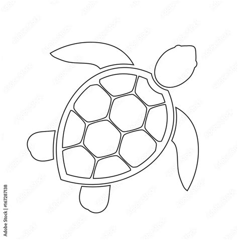 Sea turtle line icon Stock Vector | Adobe Stock