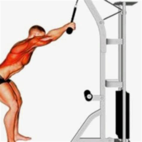 Cable Pulldowns by David Morgan - Exercise How-to - Skimble