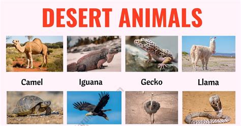 140 Desert Animals: List of Animals that Live in the Desert with ESL ...