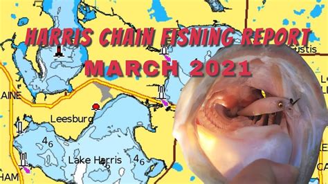 Harris Chain of lakes Fishing Report 2021 - YouTube