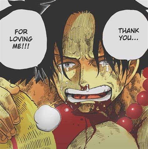 Top 5 Saddest One Piece Moments | One Piece Amino