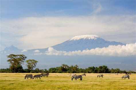 Tips for Climbing Mount Kilimanjaro, Africa's Highest Peak