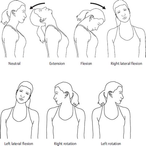 Normal Neck Range Of Motion