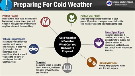 Houston weather: Freeze approaches, how to prepare home, pets, cars