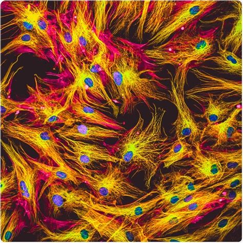 What is Fluorescence Force Microscopy?