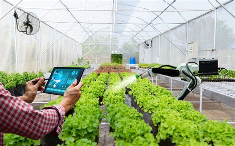 What's The Role Of Robotics In Agriculture?