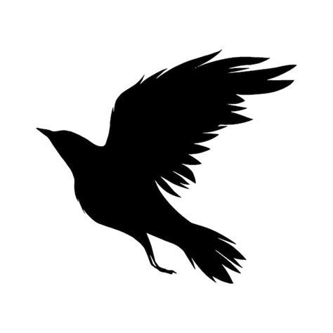 Premium Vector | Flying crow silhouette