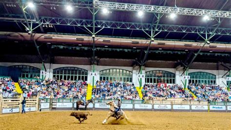 Complete First Timers Guide To The Fort Worth Rodeo Texas | Afternoon ...