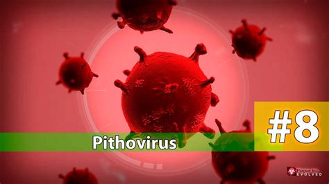 Plague Inc Evolved #8 - Pithovirus - YouTube