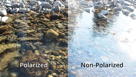 Polarized vs. Non-Polarized Sunglasses: What’s The Difference?