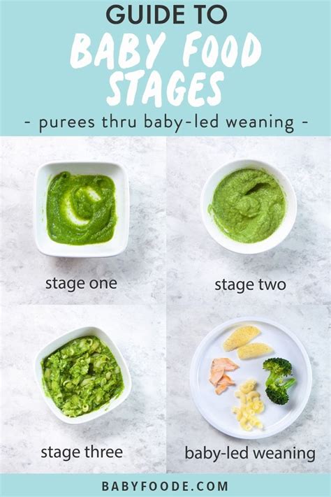 Guide to baby food stages – Artofit