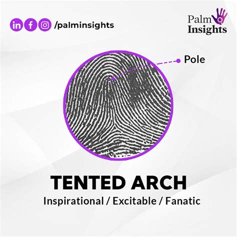 Tented Arch Fingerprint