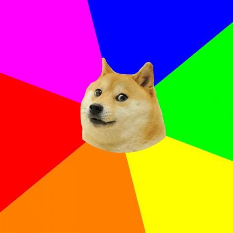 Advice Doge Meme Generator | Doge meme, Doge, Rainbow dog