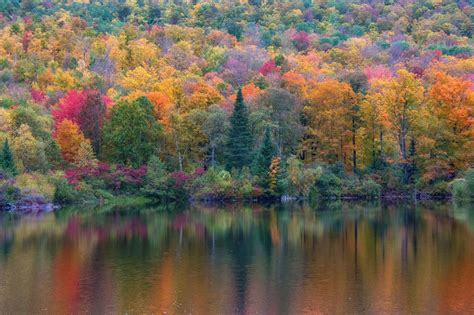 Carol's View Of New England: Coffin Pond, Sugar Hill NH Fall Foliage