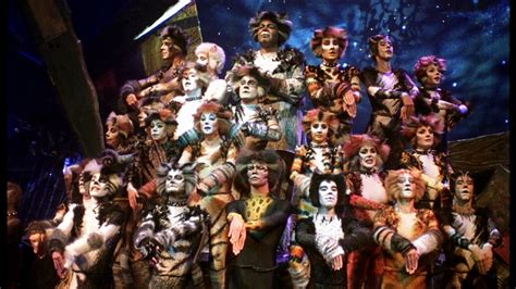 Cats | Preview and Cast of Cats | Great Performances | PBS