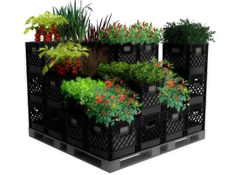 So|Aware | Small space gardening, Milk crates, Milk crates diy